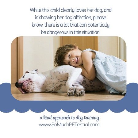 A Child Lying On The Family Dog Has Potential Dangers