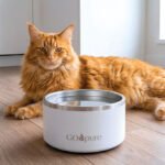 12 Best New Cat Products We’re Loving in 2026