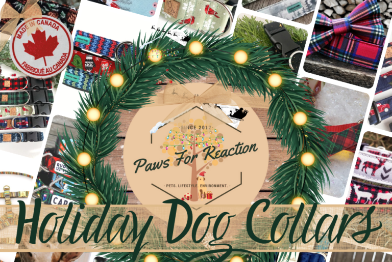 Etsy Holiday Dog Gift Guide: Handmade Christmas dog collars that are made in Canada