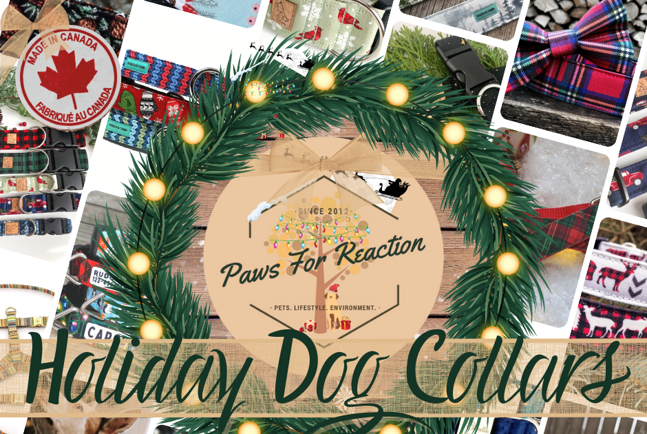 Etsy Holiday Dog Gift Guide: Handmade Christmas dog collars that are made in Canada
