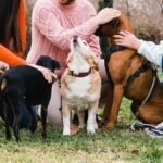 15 Dogs That Are Easier To Live With Than You’d Think