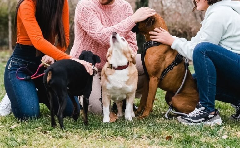 15 Dogs That Are Easier To Live With Than You’d Think