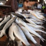 5 Reasons Your Dog Smells Like Fish And How To Eliminate It