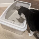 AIPERRO XL Stainless Steel Litter Box Review: Is It Worth Buying?