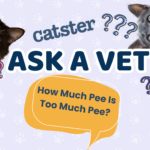 Ask Dr. Paola – Help! How Much Pee Is Too Much Pee? (July 13, 2026)