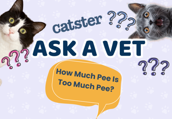 Ask Dr. Paola – Help! How Much Pee Is Too Much Pee? (July 13, 2026)