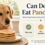 Can Dogs Eat Pancakes? Vet-Safe Advice For Owners