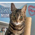 Happy Birthday To My Mum Caturday Art
