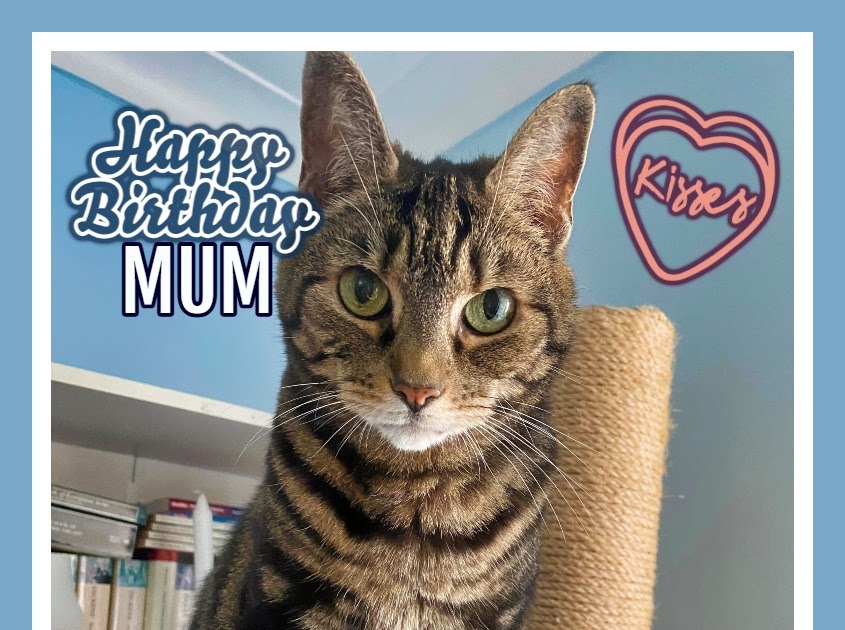 Happy Birthday To My Mum Caturday Art