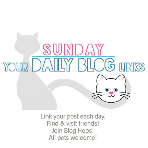 Sunday 7/12 Blogging Activities – The Cat Blogosphere