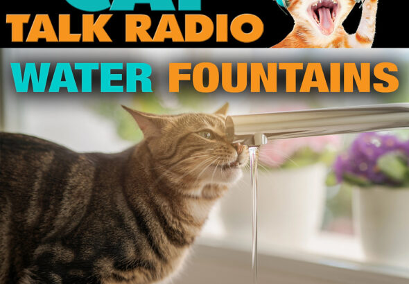 Water Fountains for Cats: Do They Really Help?