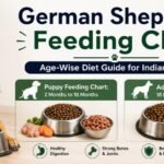 German Shepherd Feeding Chart for Indian Owners Guide
