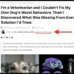 Did Wagnific Create Its Own Veterinary Behaviorist?
