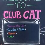 Fourth of July Get-Away: Club Cat and Idyllwild