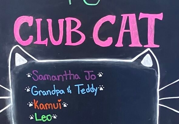 Fourth of July Get-Away: Club Cat and Idyllwild