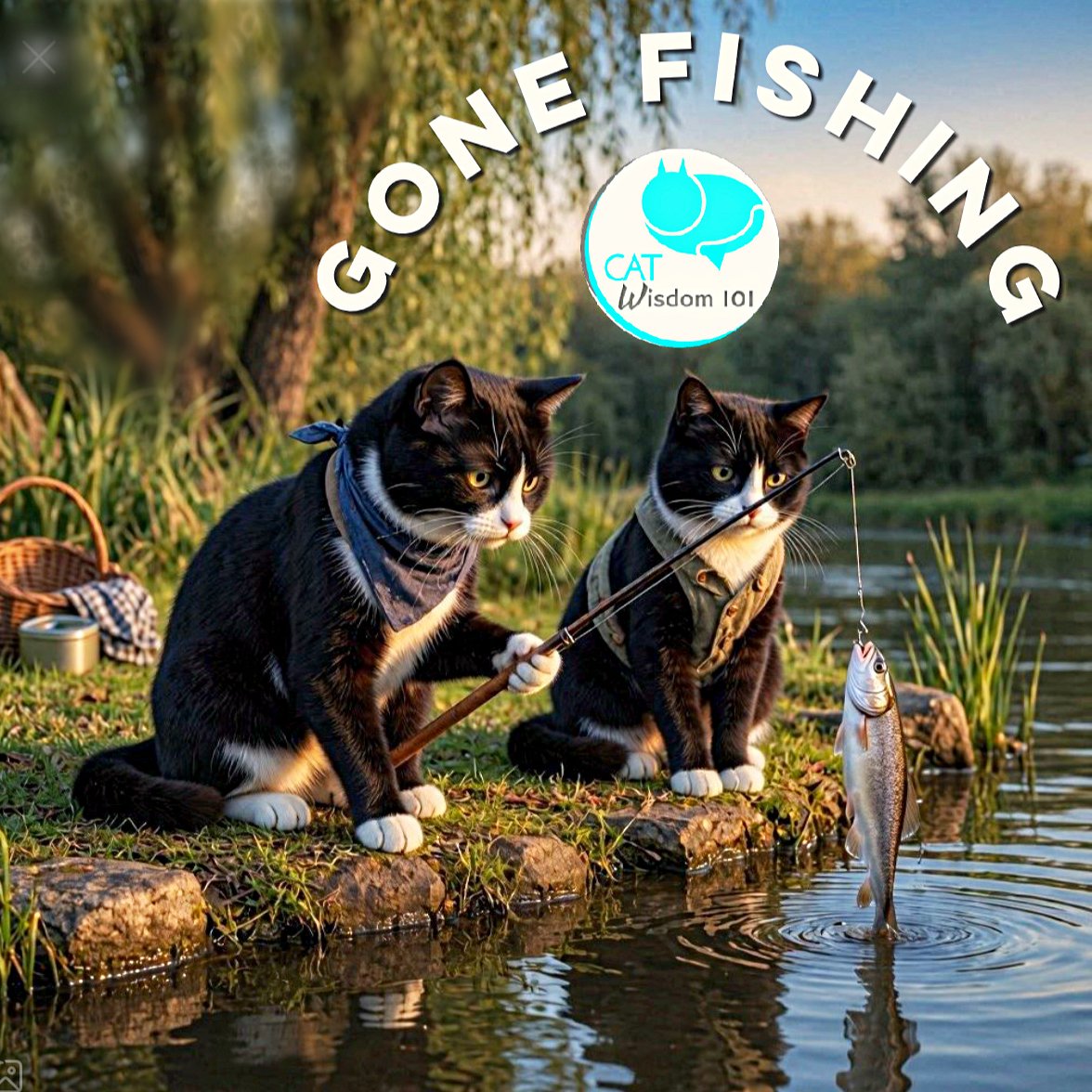Gone Fishing With Cats | Cat Wisdom 101