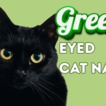 150+ Green Eyed Cat Names for Every Purr-sonality