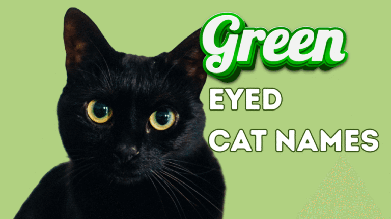150+ Green Eyed Cat Names for Every Purr-sonality