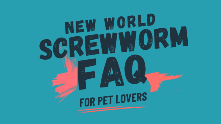 New World Screwworm FAQ for Pet Lovers