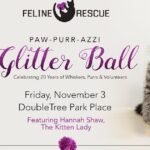 Help us celebrate 20 years of cat rescue!