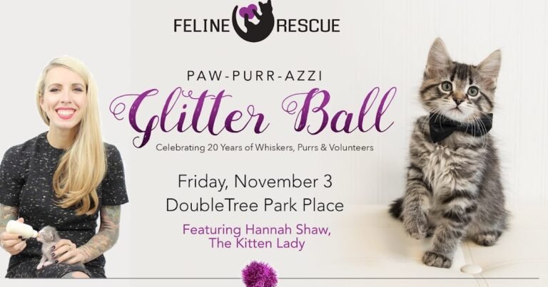 Help us celebrate 20 years of cat rescue!