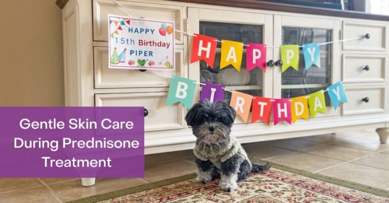Dog on Prednisone? Gentle Skin Care for GME & MUE
– 4-Legger