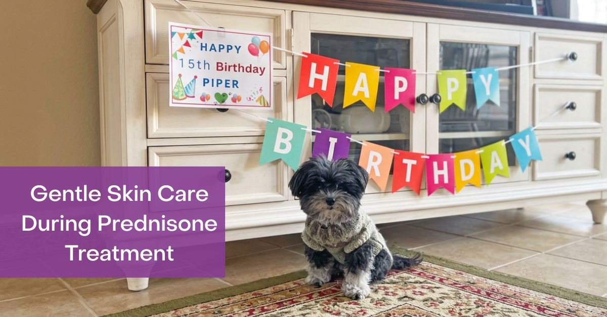 Dog on Prednisone? Gentle Skin Care for GME & MUE
– 4-Legger