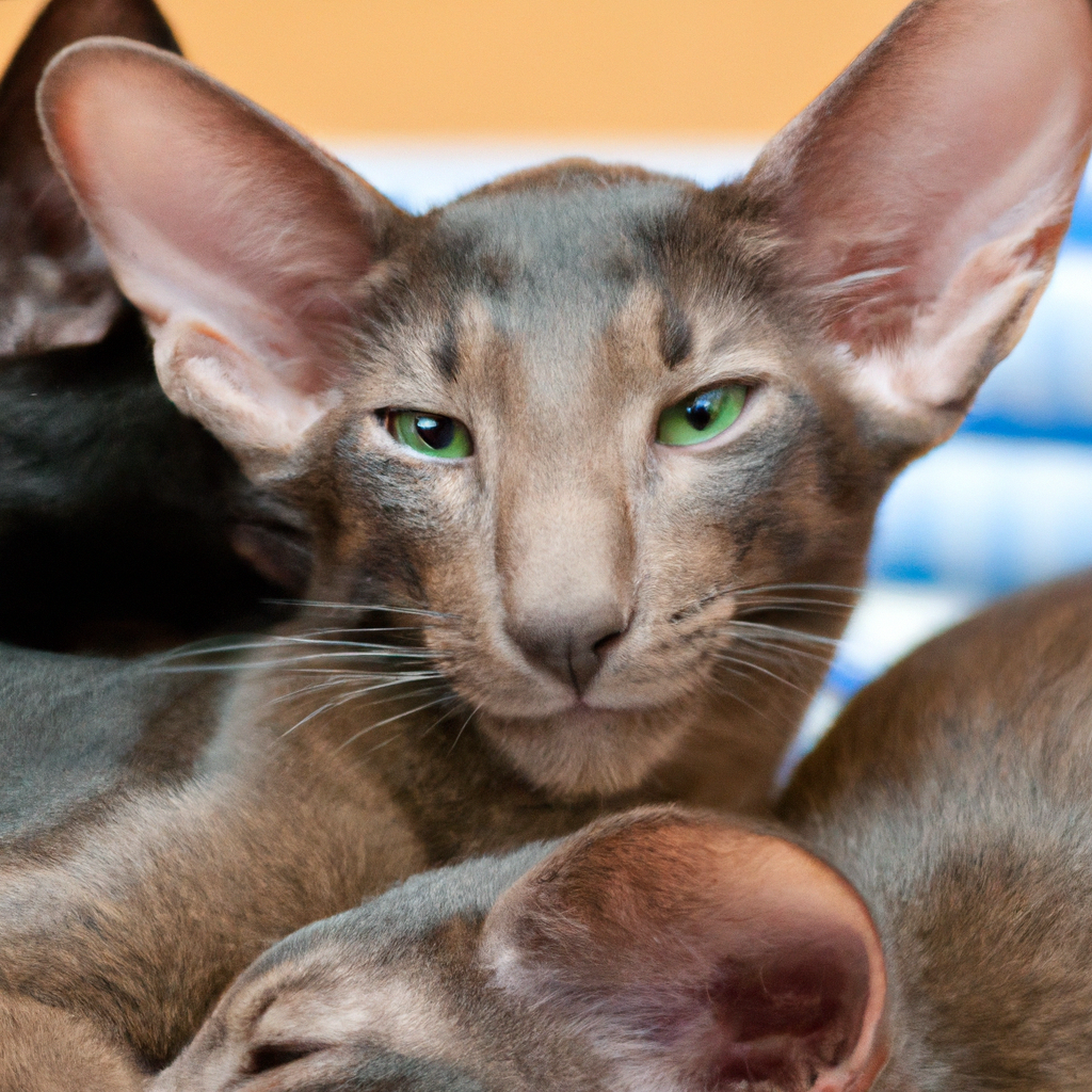 How Much Does a Purebred Cat Really Cost And What Affects the Price [2026 Guide]