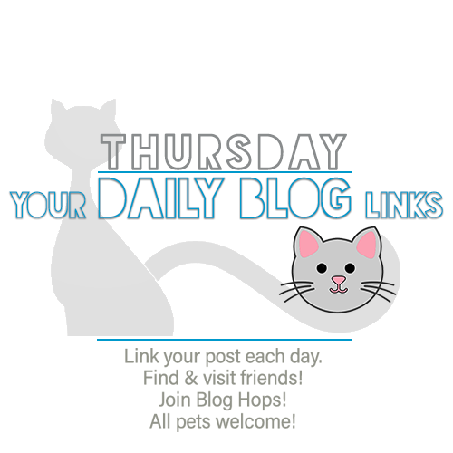 Thursday 8/13 Blogging Activities – The Cat Blogosphere