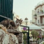 8 best Athens neighborhoods for first-time visitors