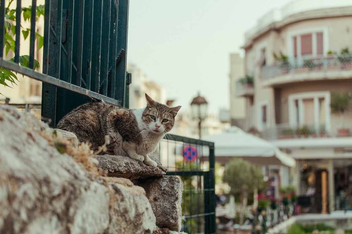 8 best Athens neighborhoods for first-time visitors