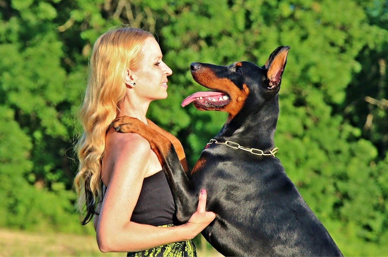 18 Dog Breeds You’d Never Expect To Be This Clingy