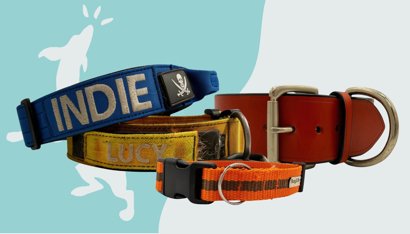 Trainer Picks & Buying Guide