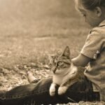 A Cat-Friendly Guide to Barnet