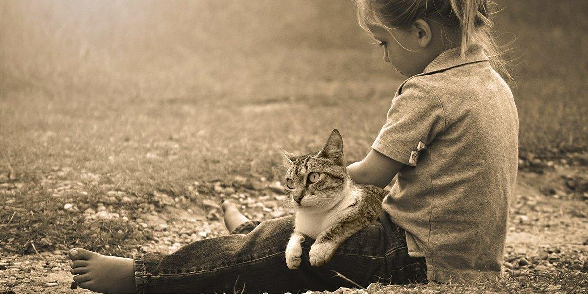 A Cat-Friendly Guide to Barnet