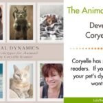 Coryelle Kramer’s Animal Dynamics Special Coryelle Kramer’s Animal Dynamics Special
