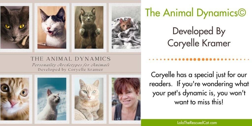 Coryelle Kramer’s Animal Dynamics Special
