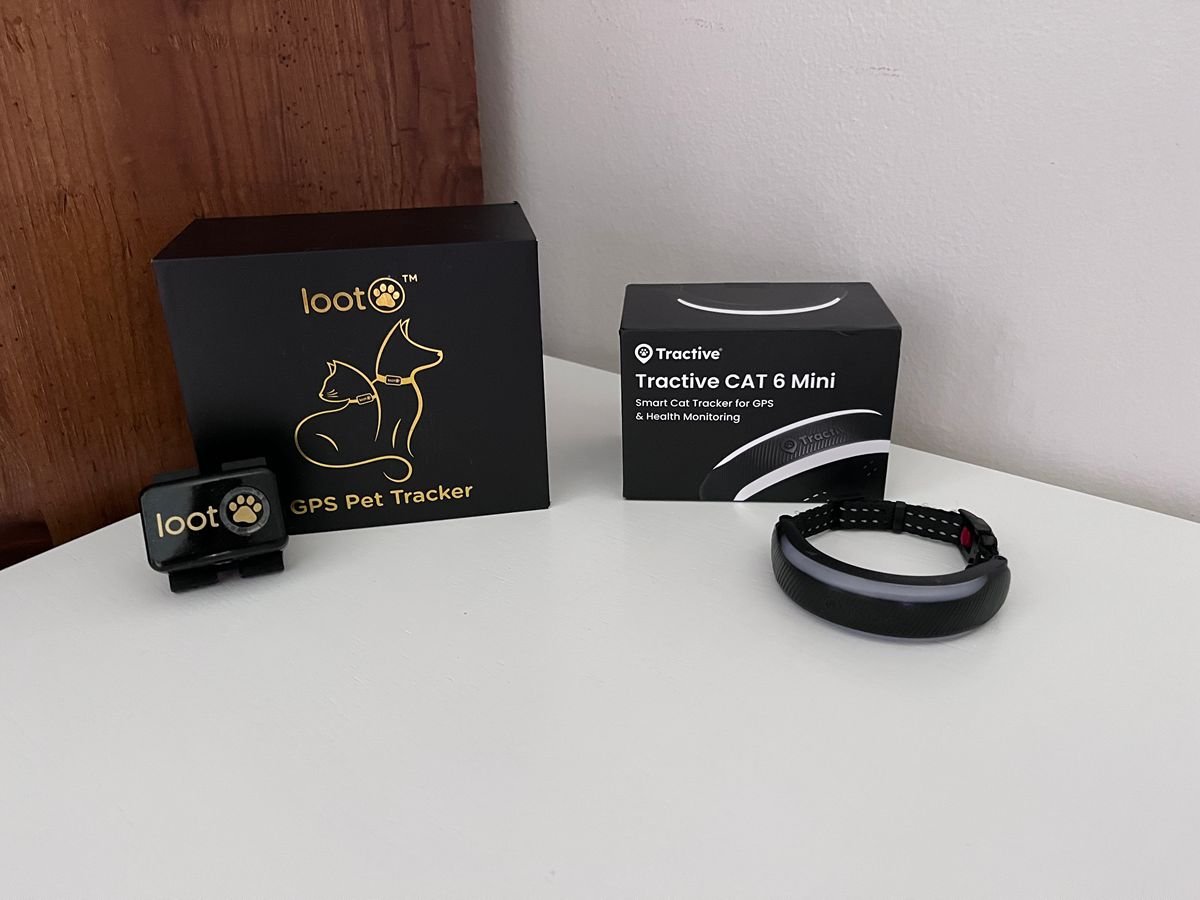 Tractive vs. Lootpaw: We Tested Both GPS Cat Trackers—Here’s What We Found