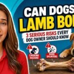 Can Dogs Eat Lamb Bones? Risks, Benefits & Alternatives