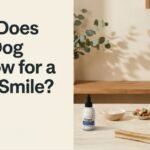 Cleaner Teeth & Long-Term Health
– 4-Legger Cleaner Teeth & Long-Term Health
– 4-Legger