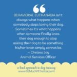The Emotional Side Of Behavior Euthanasia The Emotional Side Of Behavior Euthanasia