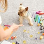 12 Things Dogs Do When They’re Trying To Keep The Peace 12 Things Dogs Do When They’re Trying To Keep The Peace