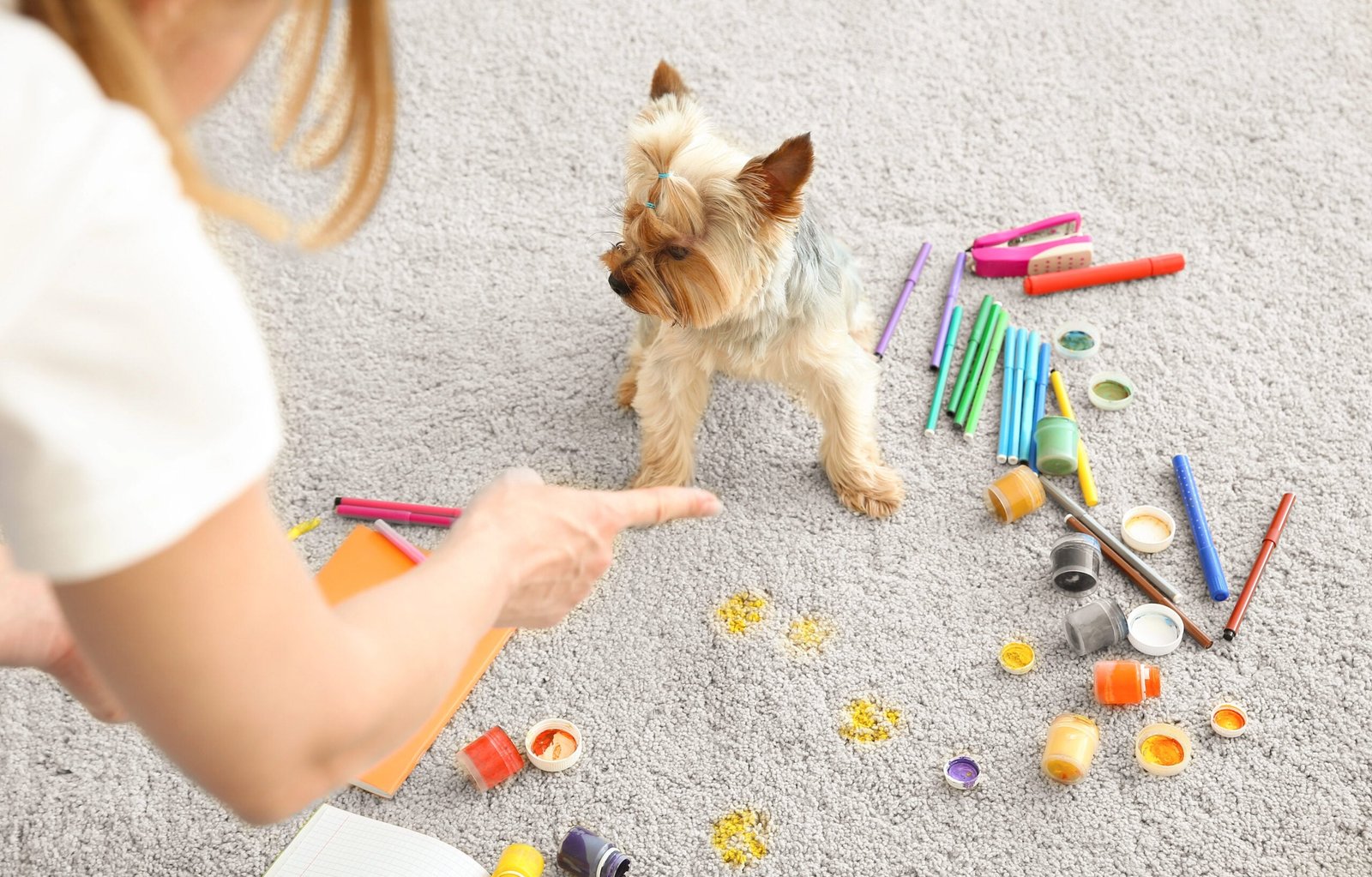 12 Things Dogs Do When They’re Trying To Keep The Peace