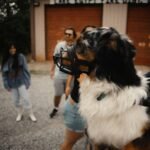 Best Muzzles for Bite-Risk Dogs: Bite-Resistant Options & Safety Best Muzzles for Bite-Risk Dogs: Bite-Resistant Options & Safety
