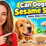 Can Dogs Eat Sesame Seeds? Safety, Risks & Feeding Guide Can Dogs Eat Sesame Seeds? Safety, Risks & Feeding Guide